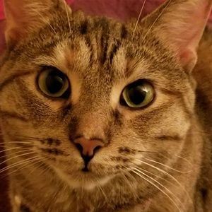 Meet your Posher, Daphne